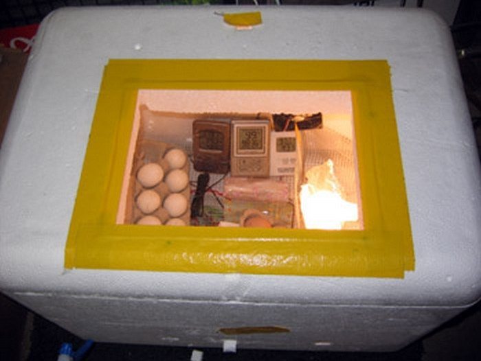 moms homemade egg incubator