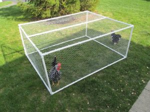 PVC Chicken Tractor