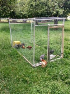 PVC Chicken Tractor