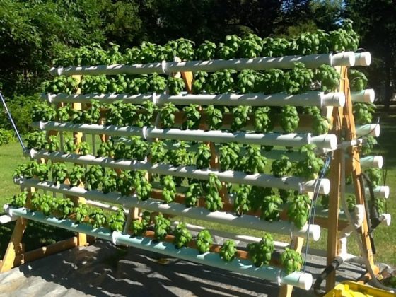 Smart A-Frame Hydroponic System: Efficient 7-Step Garden