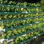 Grow more plants with an A-Frame hydroponic system | DIY projects for ...