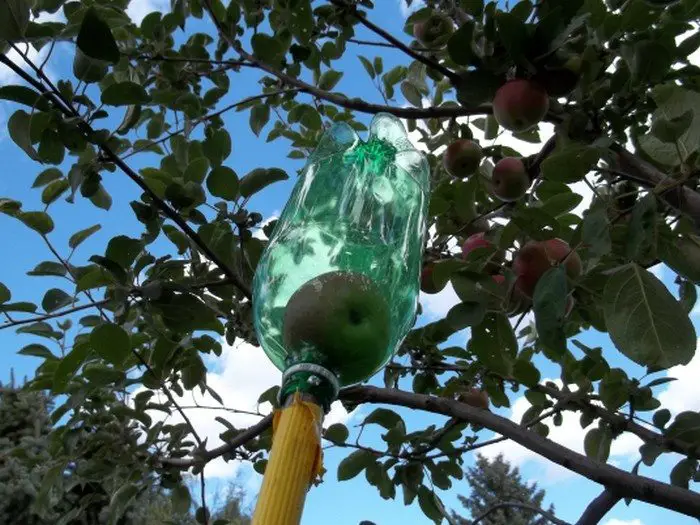 Soda Bottle Fruit Picker DIY