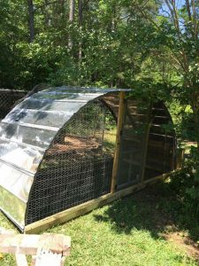 7 Chicken Coop Ideas: Protective & Cheap Projects