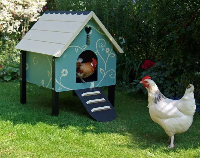 Small Dorking Chicken Coop