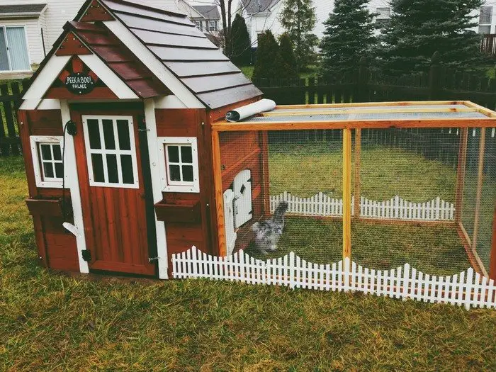 Old Playhouse Chicken Coop