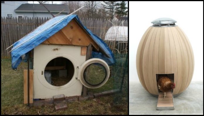 Alternative Chicken Coop Ideas Diy Projects For Everyone