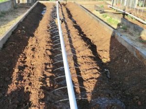 Drip Irrigation System