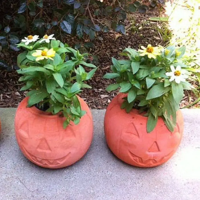 DIY Concrete Pumpkin Planter