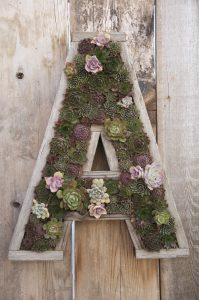 Letter Planter