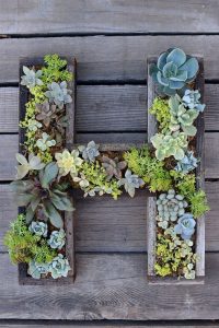 Letter Planter