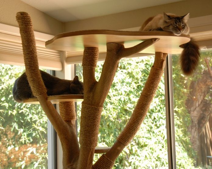 Classy Cat Tower From an Old Tree: Cheap 7-Step Project