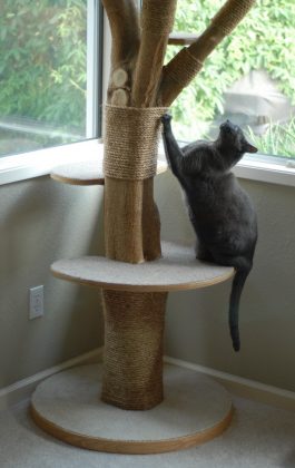 Classy Cat Tower From an Old Tree: Cheap 7-Step Project