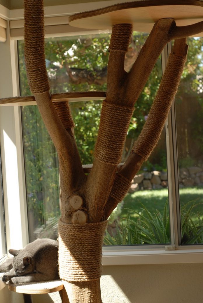 Classy Cat Tower From an Old Tree: Cheap 7-Step Project