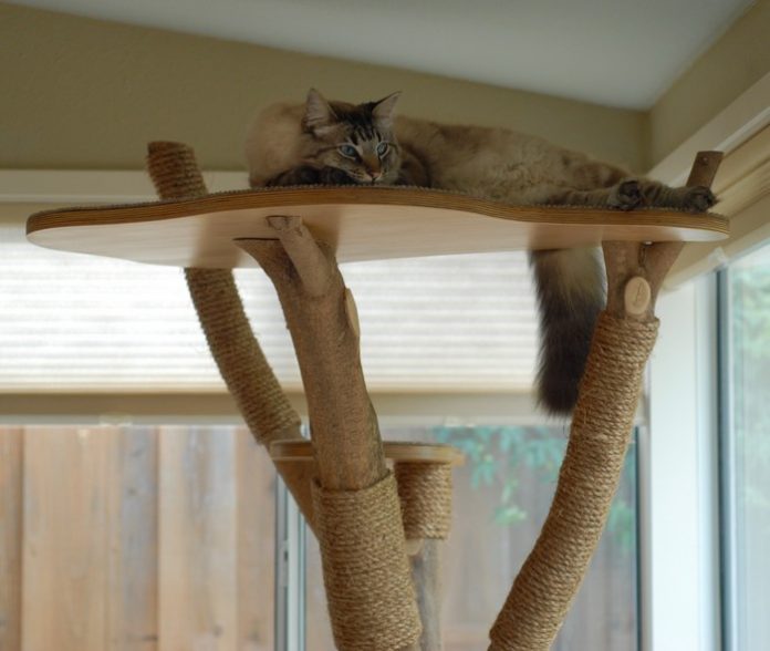 Classy Cat Tower From an Old Tree: Cheap 7-Step Project