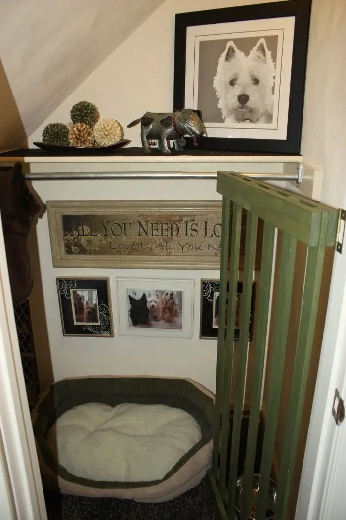 Turn a small closet into a dog bedroom! DIY projects for ...