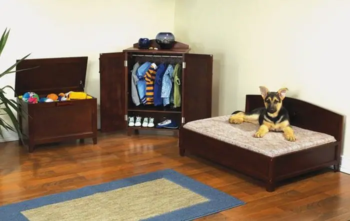 An image of a closet dog bedroom. 