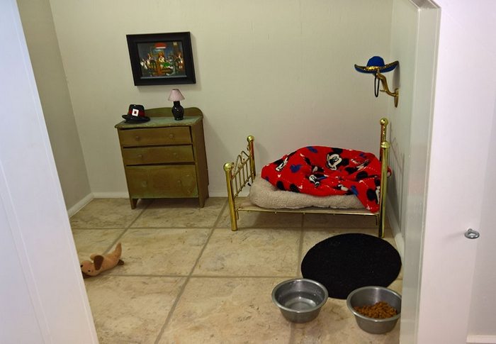 Turn a small closet into a dog bedroom! DIY projects for 