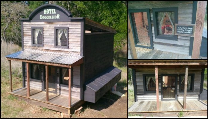 The Eggcelsior - Hotel-Inspired Chicken Coop! - DIY projects for everyone!