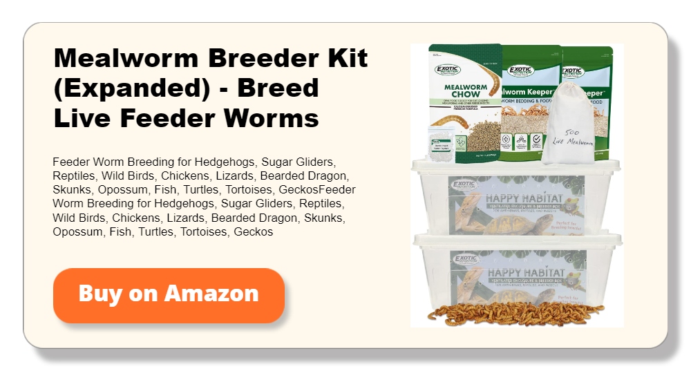 Mealworm Breeder Kit (Expanded) - Breed Live Feeder Worms