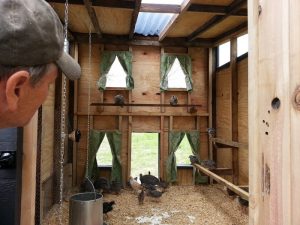 The Eggcelsior Chicken Coop