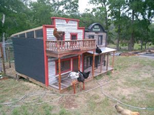 The Eggcelsior Chicken Coop