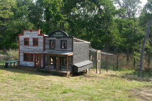 The Eggcelsior Chicken Coop