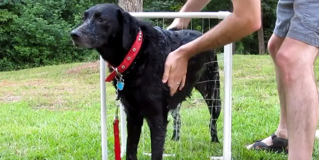 With this self-standing PVC dog washer, both hands are free to hold your dog.