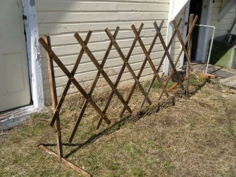 Expandable, collapsible, and portable, this garden trellis is perfect for you.