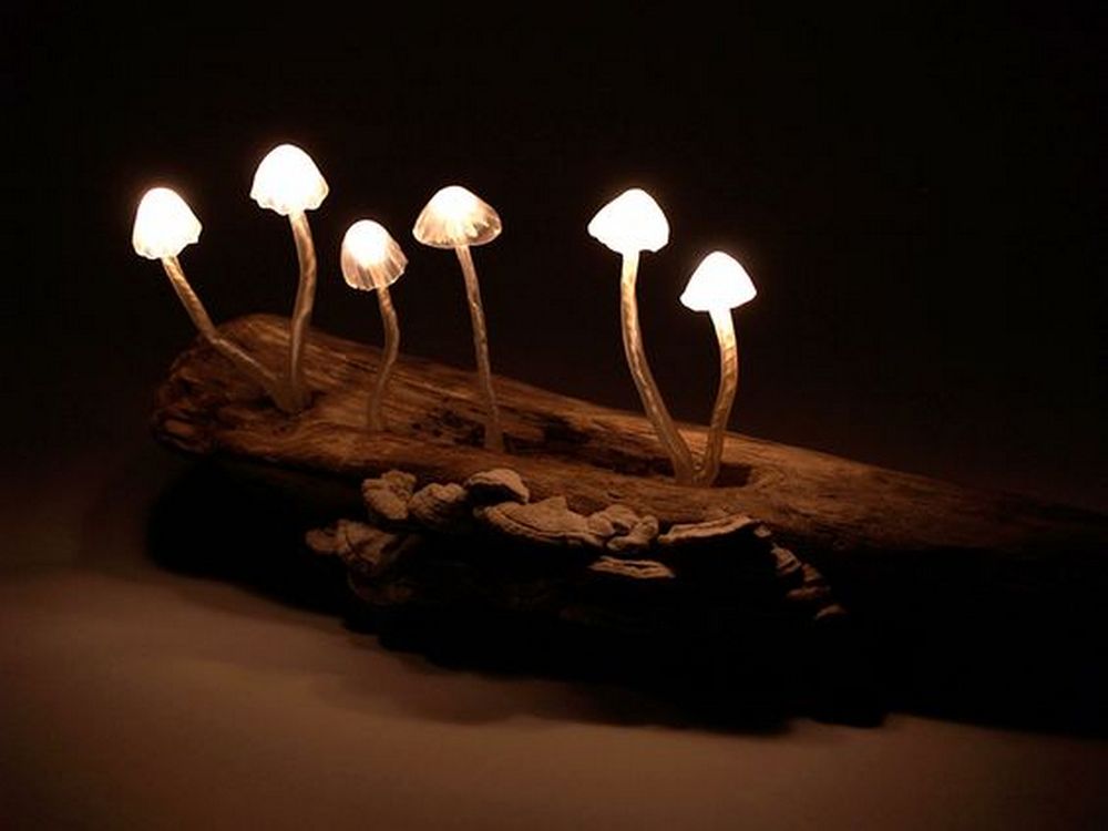 mushroom light diy