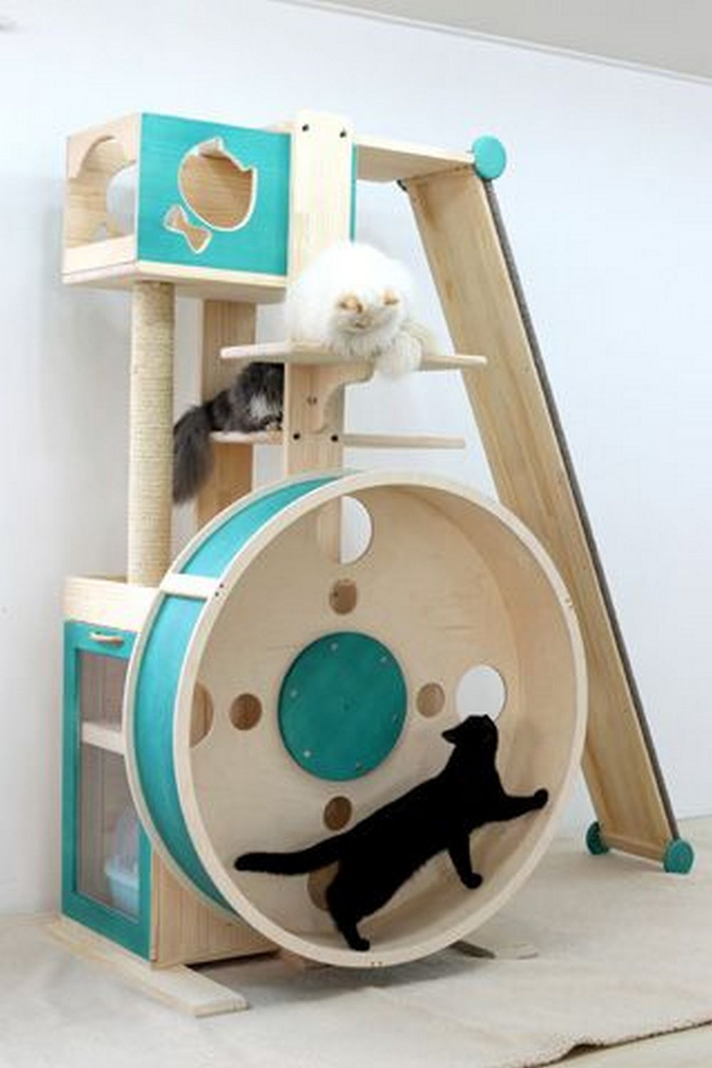 How to Build a Cat Exercise Wheel DIY projects for everyone!