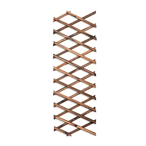 Expandable Garden Trellis for Climbing Plants