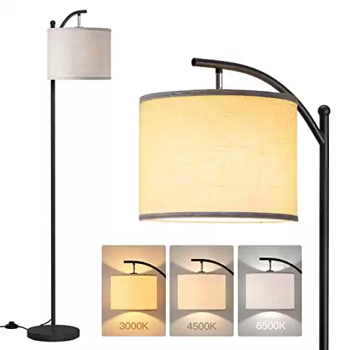 Floor Lamp with LED Bulb