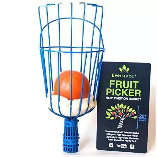 Fruit Picker | Twists onto Standard US Threaded Pole (3/4-inch ACME) | (Head Only, Pole Not Included)