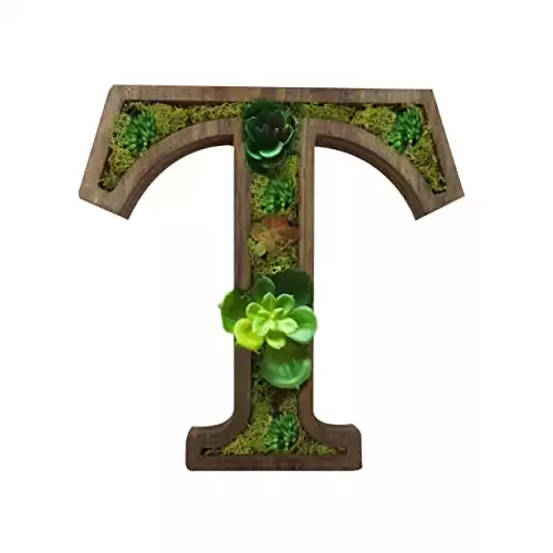 Succulent Wooden Monogram Planter - Letter T
