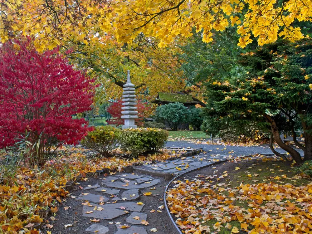 An image of a stone path in a Japanese style garden. 