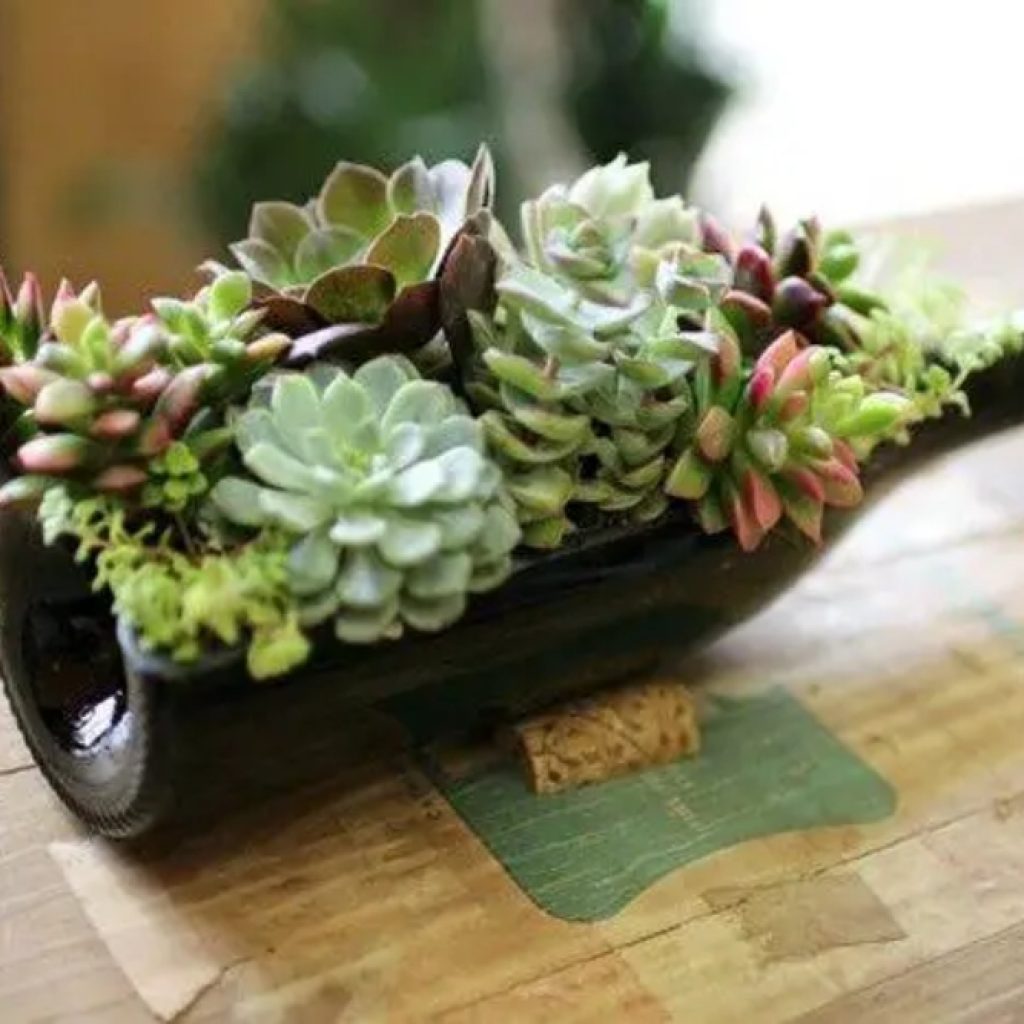 succulent planters made from wine bottles. 