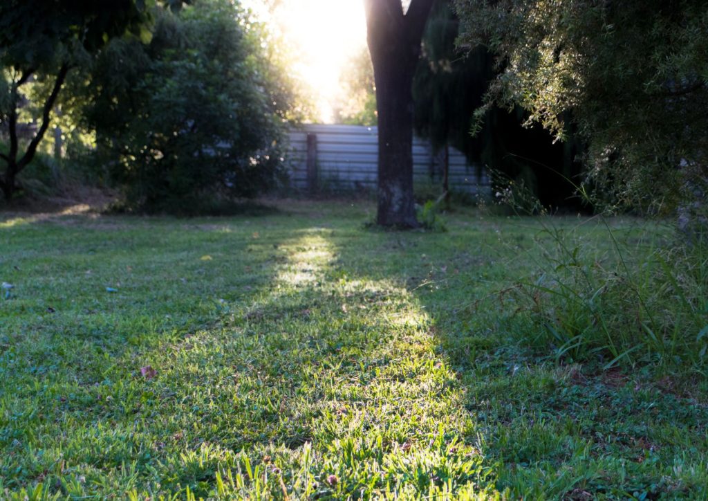 The first step in preparing the site for your DIY garden shed is to clear the area.