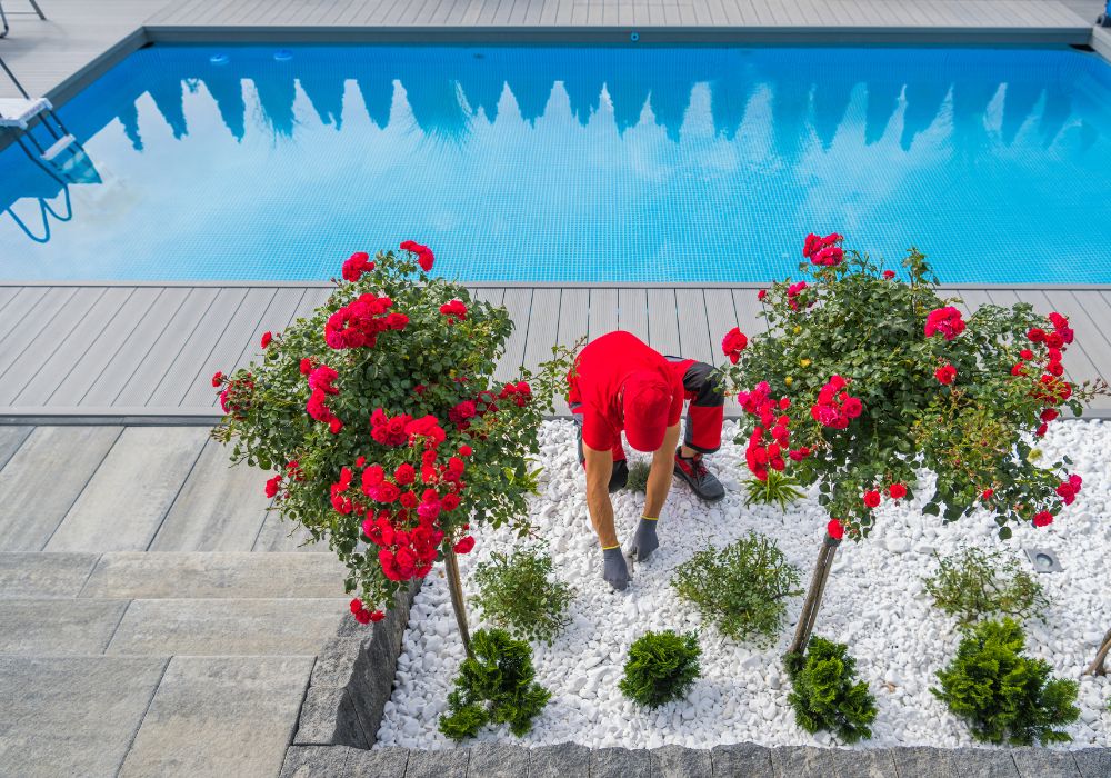 An example of pool landscaping work.