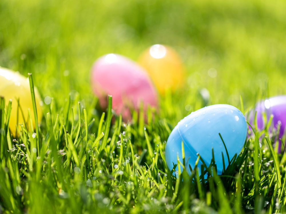 An image of various Easter eggs.